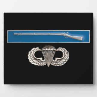 Plaque Photo BEI aéroporté