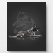 Plaque Photo Belgian shepherd (Devant)