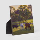 Plaque Photo Belle affiche Pâturage Chevaux de Pays (Recto)