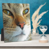 Plaque Photo Belle Chat (Côté)
