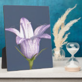 Plaque Photo Belle fleur de cloche bleue (Côté)