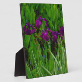 Plaque Photo Belle Iris Violet (Côté)