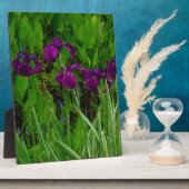 Plaque Photo Belle Iris Violet (Côté)