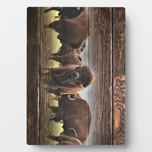 Plaque Photo Belle Trousse De Buffalo (Devant)