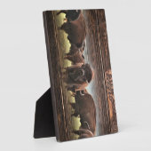 Plaque Photo Belle Trousse De Buffalo (Côté)