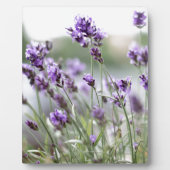 Plaque Photo Belles fleurs de printemps personnalisées - Lavand (Devant)