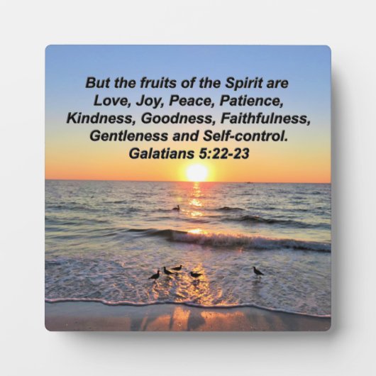 PLAQUE PHOTO BELLES GALATIENNES 5 SOLEIL (Devant)