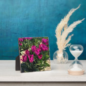 Plaque Photo Belles tulipes (Insitu)