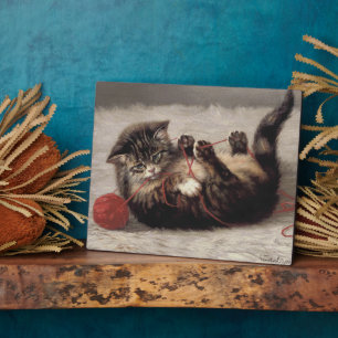 Plaque Photo Berceau de chat, un chat jouant avec une pelote de
