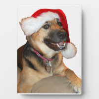 Berger allemand avec chapeau de Santa