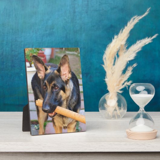 Plaque Photo berger allemand par Shirley Taylor (Côté)