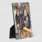 Plaque Photo berger allemand par Shirley Taylor (Côté)