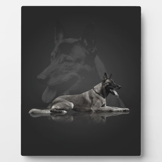 Plaque Photo Berger belge - Malinois (Devant)