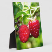 Plaque Photo Beurre mûre photo Framboises framboises (Côté)