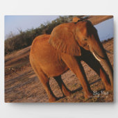 Plaque Photo Big Red (Devant)