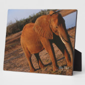 Plaque Photo Big Red (Côté)