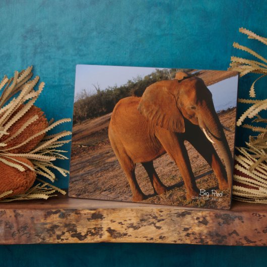 Plaque Photo Big Red (Côté)