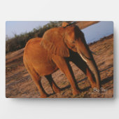 Plaque Photo Big Red (Devant)