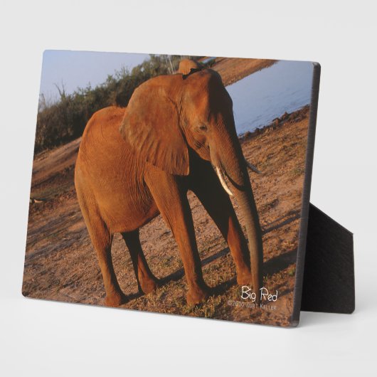 Plaque Photo Big Red (Côté)