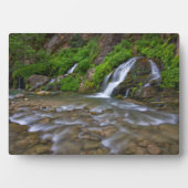 Plaque Photo Big Springs Virgin River | Zion National Park (Devant)