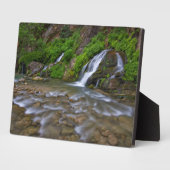 Plaque Photo Big Springs Virgin River | Zion National Park (Côté)