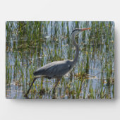 Plaque Photo Bird Great Blue Heron Photo (Devant)