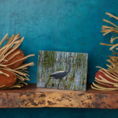 Plaque Photo Bird Great Blue Heron Photo (Côté)