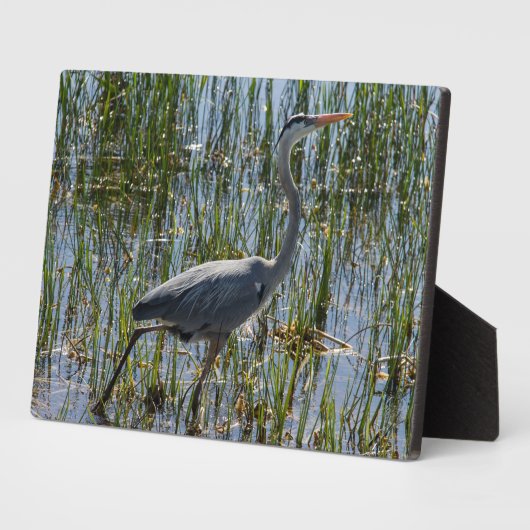 Plaque Photo Bird Great Blue Heron Photo (Côté)