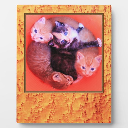 Plaque Photo Bird's Eye Maple Wood Grains Pattern Picture Frame (Devant)