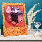 Plaque Photo Bird's Eye Maple Wood Grains Pattern Picture Frame (Côté)