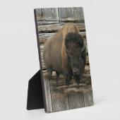 Plaque Photo Bison de bois (Côté)