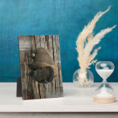 Plaque Photo Bison de bois (Côté)