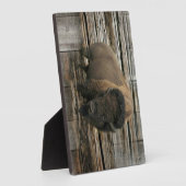 Plaque Photo Bison de bois (Côté)
