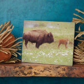 Plaque Photo Bison et veau à Yellowstone (Côté)