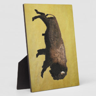 Plaque Photo Bison galopant