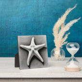 Plaque Photo Black and White Starfish (Insitu)
