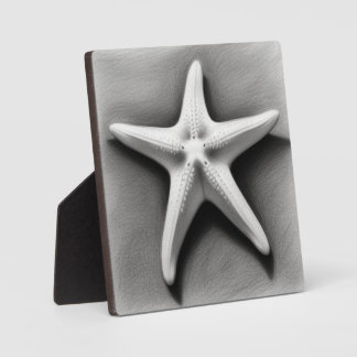 Plaque Photo Black and White Starfish
