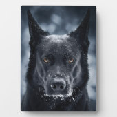 Plaque Photo Black German Shepherd (Devant)