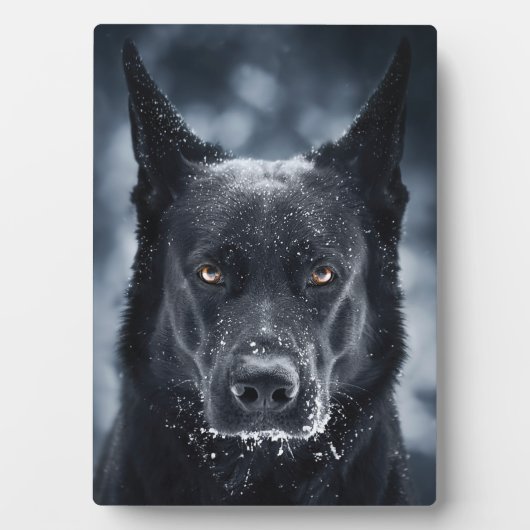 Plaque Photo Black German Shepherd (Devant)