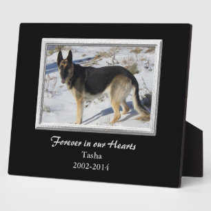 Plaque Photo Black Silver Frame Pet Memorial Template