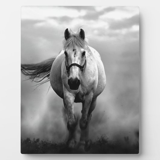 Plaque Photo Black White Runse Horse Freedom (Devant)