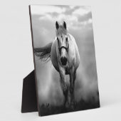Plaque Photo Black White Runse Horse Freedom (Côté)