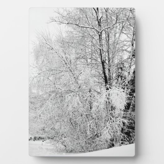 Plaque Photo Blancs d'hiver (Devant)