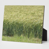 Plaque Photo Blé - Savoureux ! (Côté)