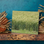 Plaque Photo Blé - Savoureux ! (Côté)