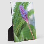 Plaque Photo Bleu cône fleur bromélique (Côté)