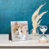 Plaque Photo Bleu doux Kitty Eyed (Insitu)