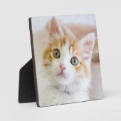 Plaque Photo Bleu doux Kitty Eyed (Recto)