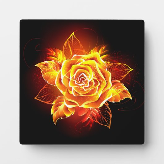 Plaque Photo Blooming Fire Rose (Devant)
