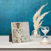 Plaque Photo Blue Eyed (Insitu)